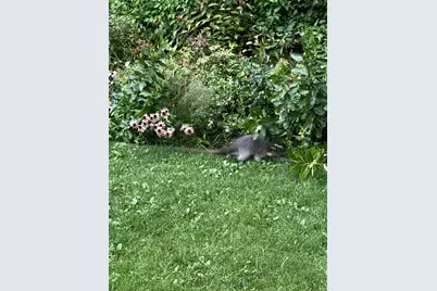 6204 39th Avenue N, Crystal, MN 55422 - Photo 48