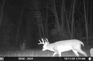 38321 Baugh St NW, Princeton, MN 55371 - Photo 70