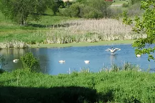 38321 Baugh St NW, Princeton, MN 55371 - Photo 68