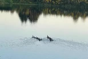 9933 Toledo Dr N, Brooklyn Park, MN 55443 - Photo 80