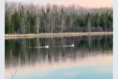 9A Hines Road NE, Hines, MN 56647 - Photo 8