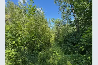 40A Bridgie Road, Northome, MN 56661 - Photo 2