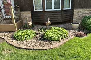 937 15th St W, Hastings, MN 55033 - Photo 6