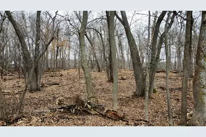Tract B Linden Street, Garrison, MN 56450 - Photo 22