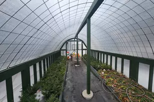 7275 W 190th St, Jordan, MN 55352 - Photo 32