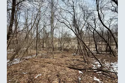 Tbd Basswood Drive, Sauk Centre Township, MN 56378 - Photo 12