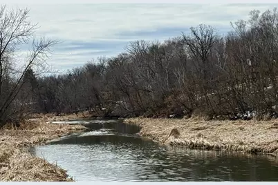 Tbd Basswood Drive, Sauk Centre Township, MN 56378 - Photo 4