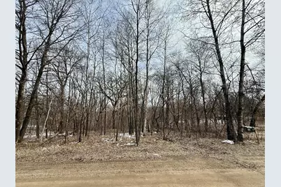 Tbd Basswood Drive, Sauk Centre Township, MN 56378 - Photo 10