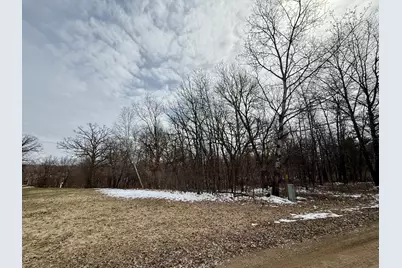 Tbd Basswood Drive, Sauk Centre Township, MN 56378 - Photo 2