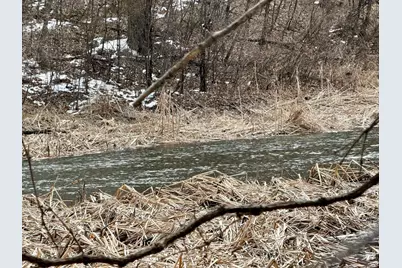 Tbd Basswood Drive, Sauk Centre Township, MN 56378 - Photo 10