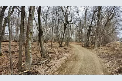 Tract D Linden Street, Garrison, MN 56450 - Photo 14