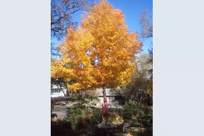 9449 Woodridge Drive, Eden Prairie, MN 55347 - Photo 72