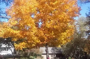 9449 Woodridge Dr, Eden Prairie, MN 55347 - Photo 72