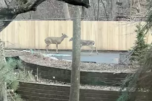 14759 McGinty Rd W, Minnetonka, MN 55391 - Photo 68