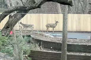 14759 McGinty Rd W, Minnetonka, MN 55391 - Photo 68