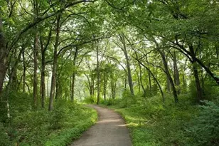 14759 McGinty Rd W, Minnetonka, MN 55391 - Photo 76