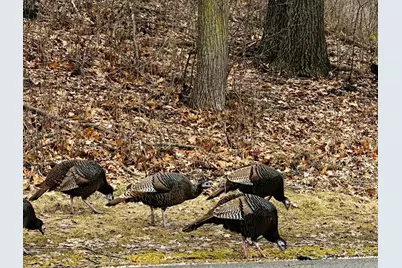 14759 McGinty Road W, Minnetonka, MN 55391 - Photo 72