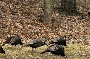 14759 McGinty Rd W, Minnetonka, MN 55391 - Photo 72