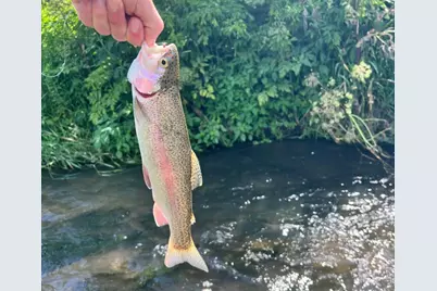 Tbd-C County 8, Spring Grove, MN 55954 - Photo 12