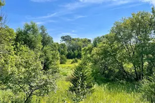 Tbd-C County 8, Spring Grove, MN 55954 - Photo 36