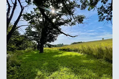 Tbd-C County 8, Spring Grove, MN 55954 - Photo 34