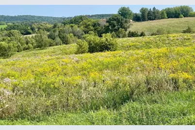 Tbd-C County 8, Spring Grove, MN 55954 - Photo 28