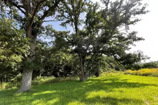 Tbd-C County 8, Spring Grove, MN 55954 - Photo 46