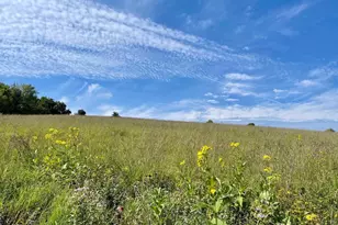 Tbd-C County 8, Spring Grove, MN 55954 - Photo 38