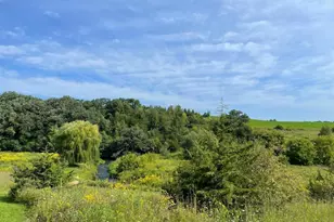 Tbd-C County 8, Spring Grove, MN 55954 - Photo 48