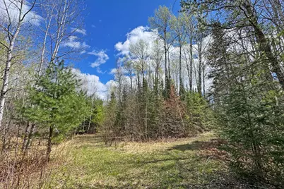 4268 Crane Lake Road, Orr, MN 55771 - Photo 28