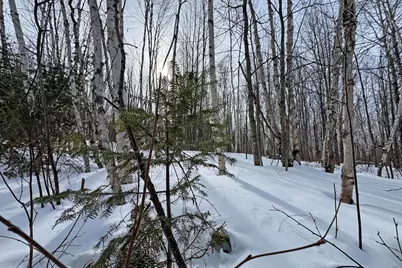 4268 Crane Lake Road, Orr, MN 55771 - Photo 22