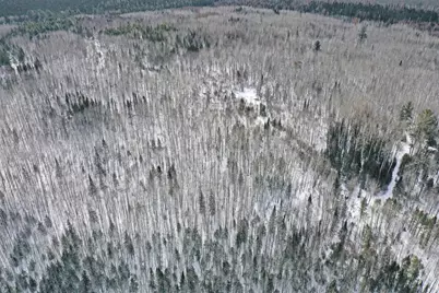 4268 Crane Lake Road, Orr, MN 55771 - Photo 14