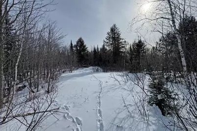 4268 Crane Lake Road, Orr, MN 55771 - Photo 26