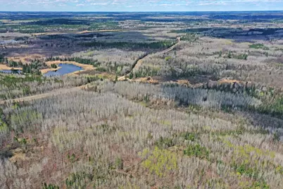 4268 Crane Lake Road, Orr, MN 55771 - Photo 14