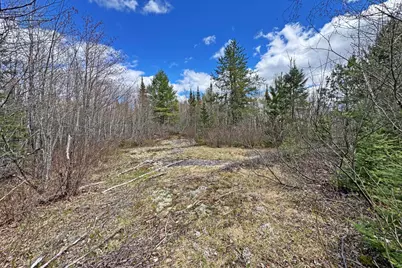 4268 Crane Lake Road, Orr, MN 55771 - Photo 36