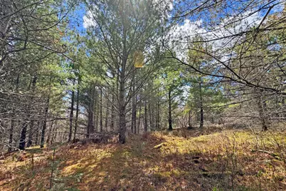 4268 Crane Lake Road, Orr, MN 55771 - Photo 38