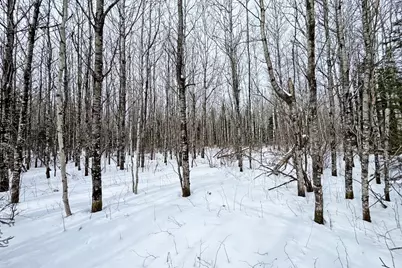 4268 Crane Lake Road, Orr, MN 55771 - Photo 34