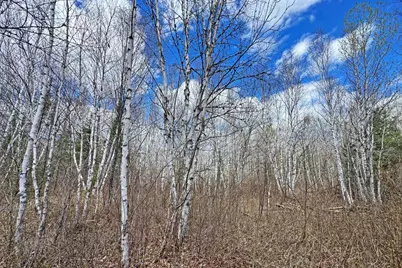 4268 Crane Lake Road, Orr, MN 55771 - Photo 18