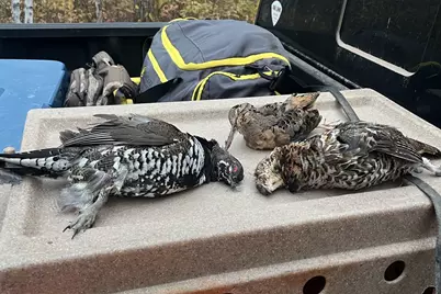 4268 Crane Lake Road, Orr, MN 55771 - Photo 42