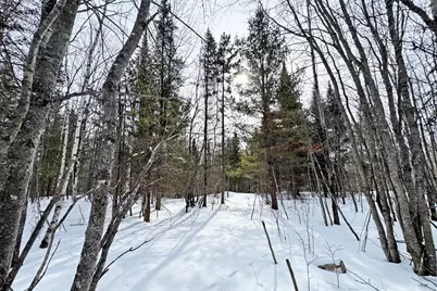 4268 Crane Lake Road, Orr, MN 55771 - Photo 30