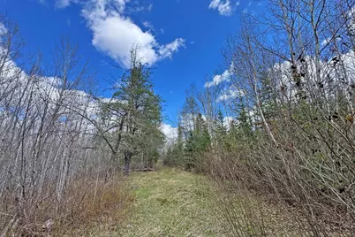 4268 Crane Lake Road, Orr, MN 55771 - Photo 22