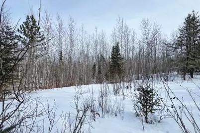 4268 Crane Lake Road, Orr, MN 55771 - Photo 24