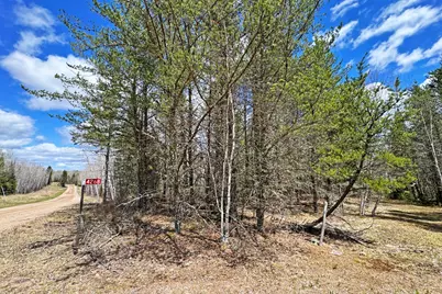 4268 Crane Lake Road, Orr, MN 55771 - Photo 14