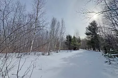 4268 Crane Lake Road, Orr, MN 55771 - Photo 18