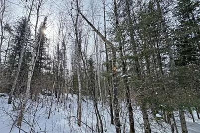 4268 Crane Lake Road, Orr, MN 55771 - Photo 32