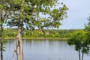 1697 Town Rd 112, Baudette, MN 56623 - Photo 4