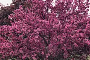 1550 Oldridge Ave N, Stillwater, MN 55082 - Photo 70