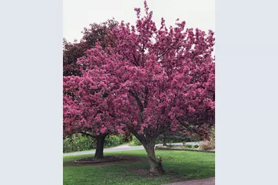 1550 Oldridge Avenue N, Stillwater, MN 55082 - Photo 16