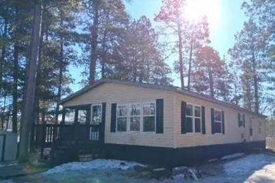 54432 Sandy River Drive, Leonard, MN 56652 - Photo 1