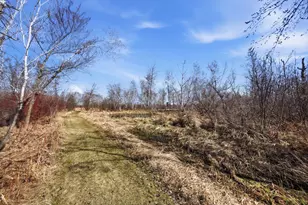 14205 Julliard St NE, Forest Lake, MN 55025 - Photo 72